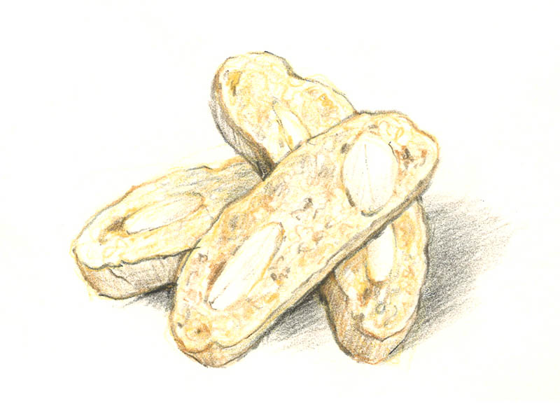 Dinkel-Cantuccini