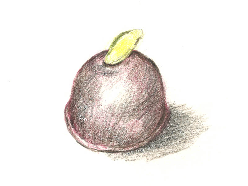 Pariser Creme Maraschino